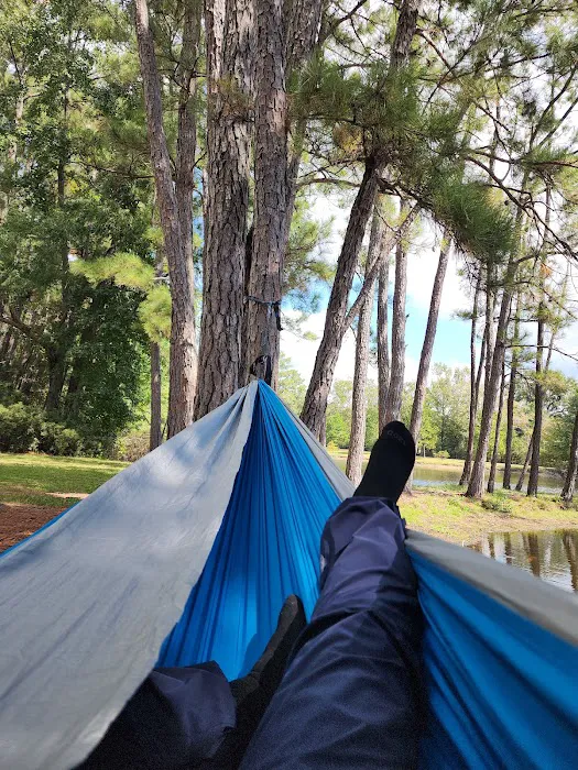 Pineywoods Camp Picture 9