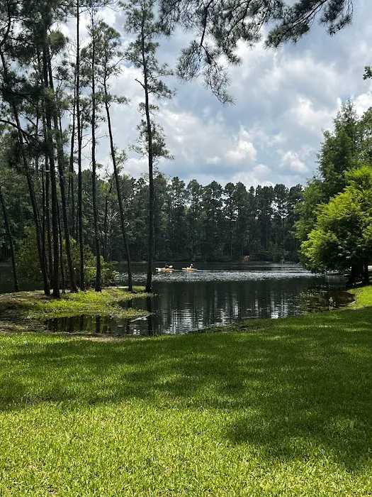 Pineywoods Camp Picture 3