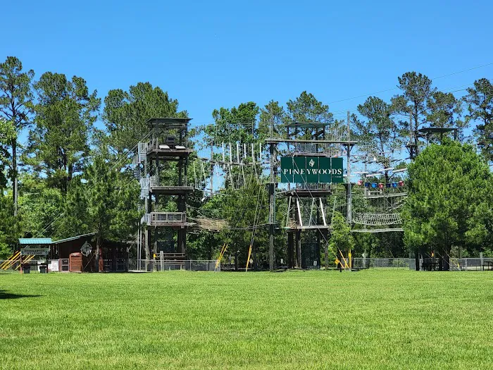 Pineywoods Camp Picture 7