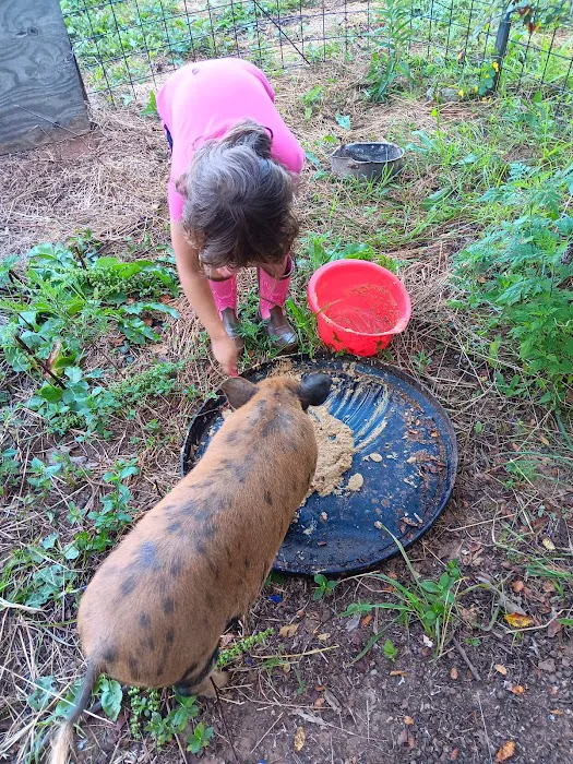 Trails End Hobby Farm and Handy Man Service Picture 5
