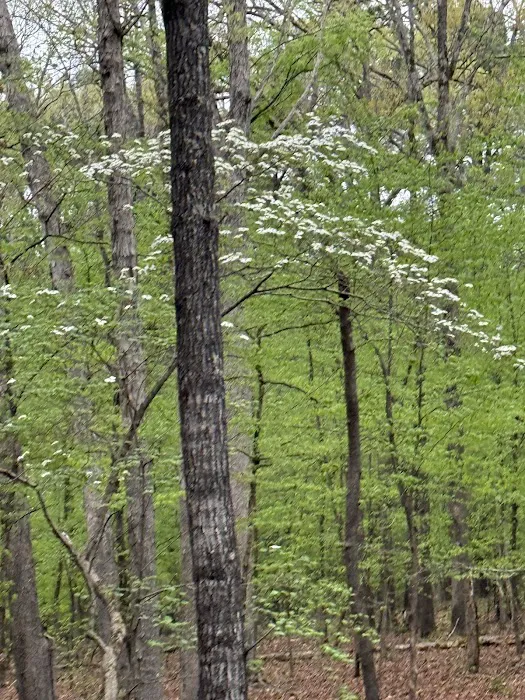 Haralson Village Event and RV Center Picture 2