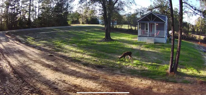 Red's Cozy Rentals Picture 1