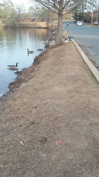 Agriculture & Forestry Department Picture 6