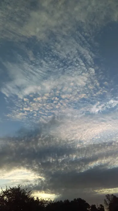 Agriculture & Forestry Department Picture 9