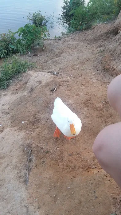 Agriculture & Forestry Department Picture 2