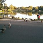 Agriculture & Forestry Department