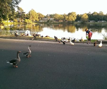 Agriculture & Forestry Department