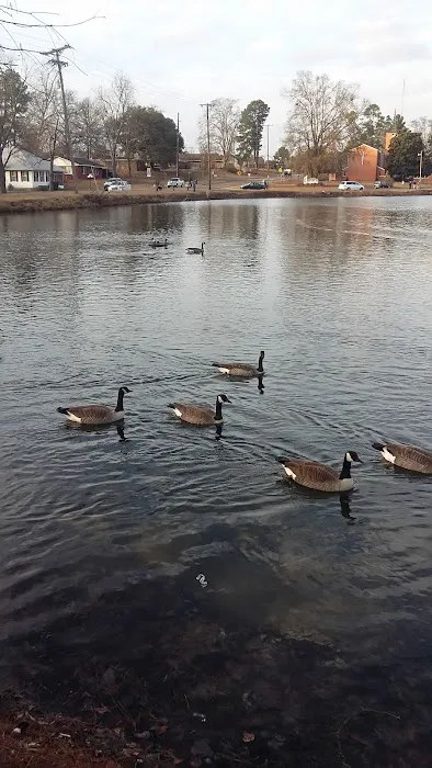 Agriculture & Forestry Department Picture 5