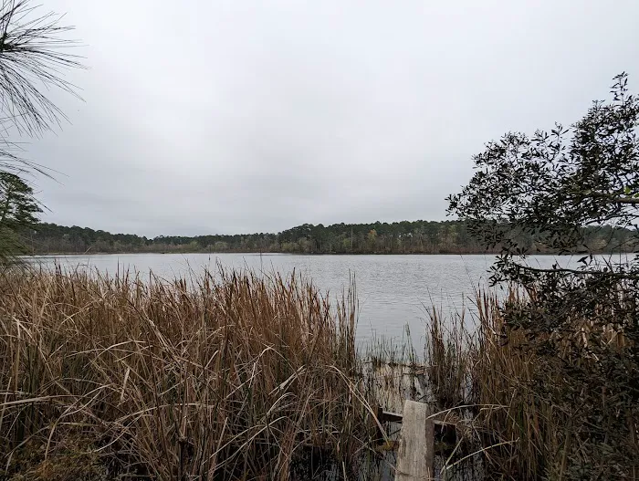 Beaver Dam Campground Picture 4