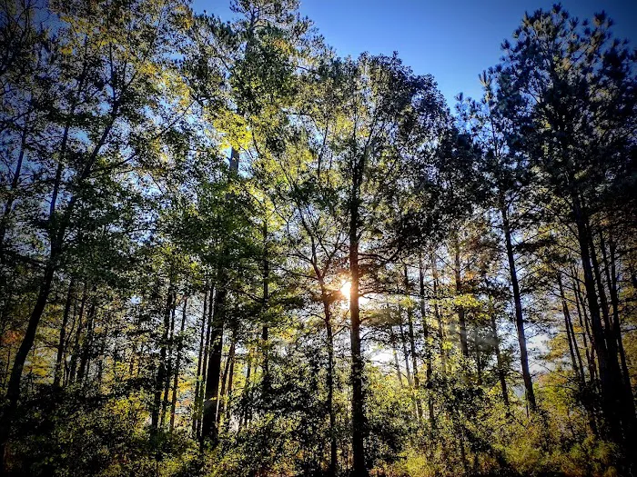 Beaver Dam Campground Picture 9