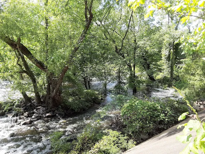 Ivan Lake Recreation Area Picture 4