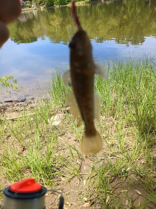 Ivan Lake Recreation Area Picture 7