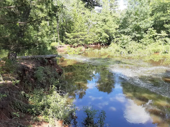 Ivan Lake Recreation Area Picture 5