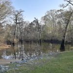 Wenk's Landing, Army Corps of Engineers