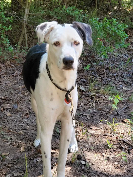 Camp Krenari Picture 3