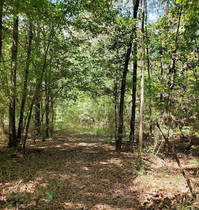 Camp Krenari Picture 6