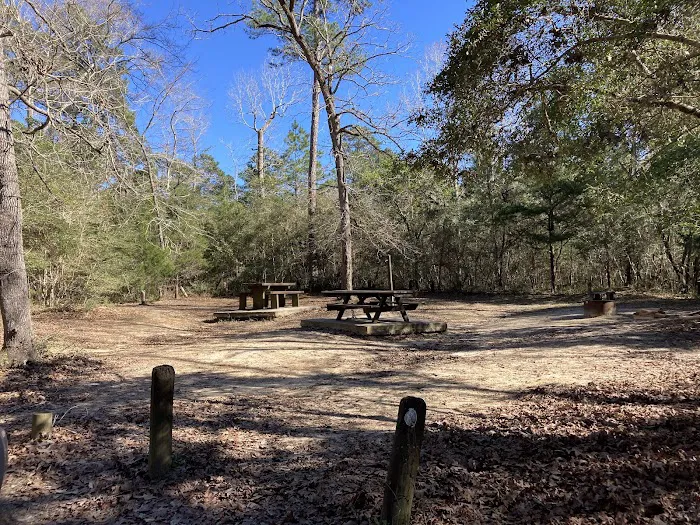 Double Lake Campground Picture 4