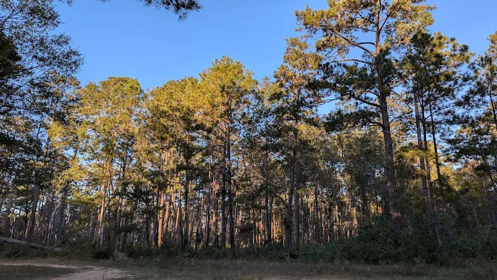 Shell Oil Road Hunter Camp Picture 1