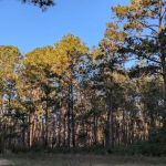 Shell Oil Road Hunter Camp