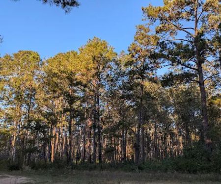 Shell Oil Road Hunter Camp