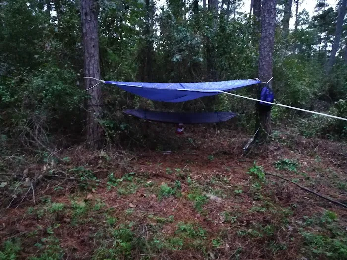 Shell Oil Road Hunter Camp Picture 4