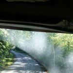 Magnolia Primitive Campsite