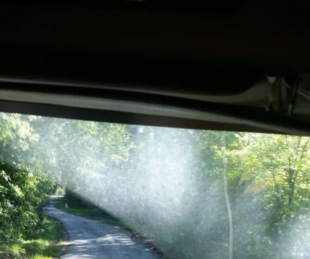 Magnolia Primitive Campsite