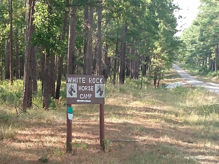 514-D White Rock Horse Camp Picture 2