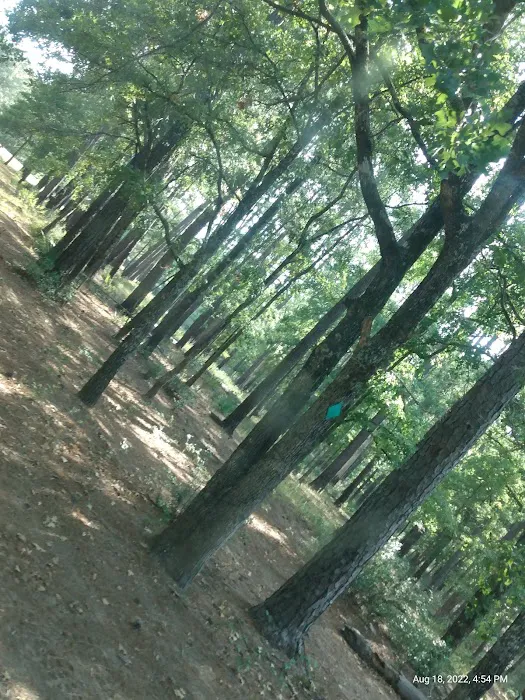 514-D White Rock Horse Camp Picture 1