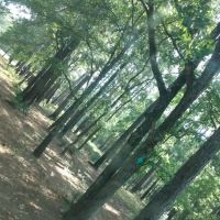 514-D White Rock Horse Camp ico