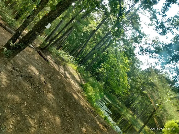 514-D White Rock Horse Camp Picture 7
