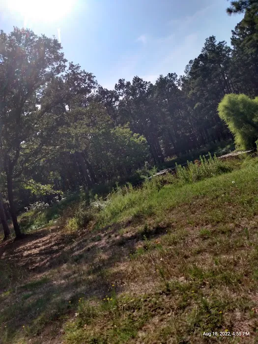 514-D White Rock Horse Camp Picture 5