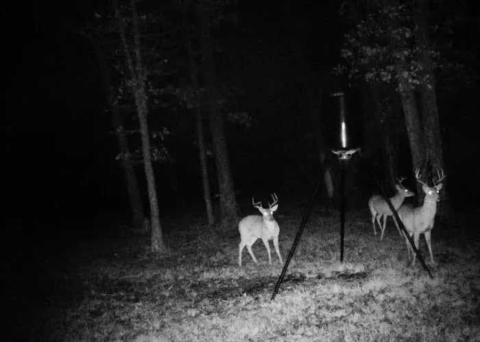 Huastecos Ranch Picture 3