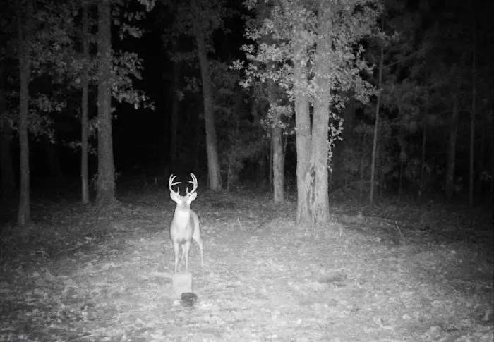 Huastecos Ranch Picture 1
