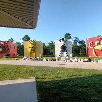The Wild at Carolina Creek ico