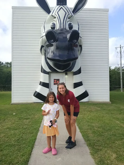 The Wild at Carolina Creek Picture 3