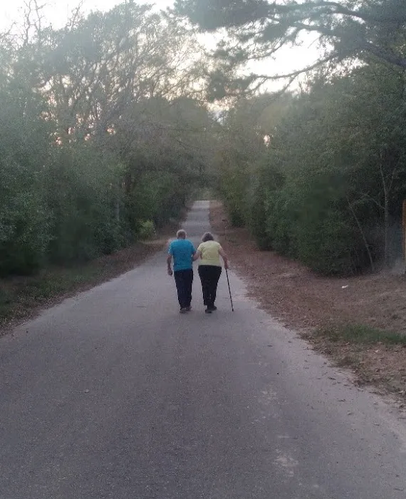 Family Forest Fun Picture 3