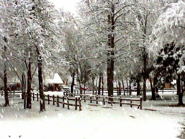 Stone Fort Camp & Conference Picture 5