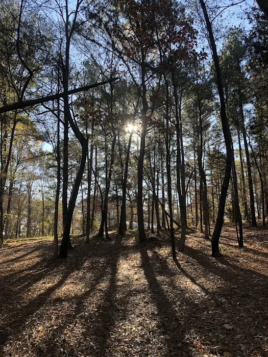 BarefootGee’s Texas Primitive Tent ,Car campsite Rest Stop.Group Campsites Picture 9