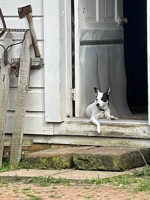 BarefootGee’s Texas Primitive Tent ,Car campsite Rest Stop.Group Campsites Picture 2