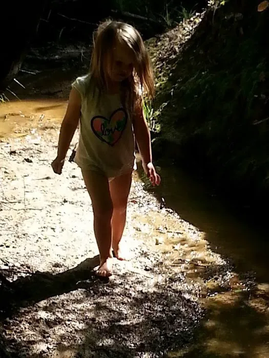 BarefootGee’s Texas Primitive Tent ,Car campsite Rest Stop.Group Campsites Picture 5