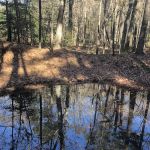 BarefootGee’s Texas Primitive Tent ,Car campsite Rest Stop.Group Campsites
