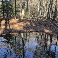 BarefootGee’s Texas Primitive Tent ,Car campsite Rest Stop.Group Campsites ico