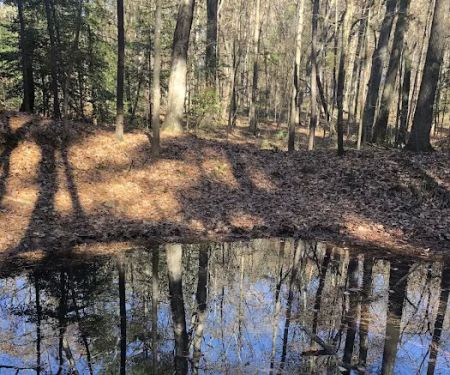 BarefootGeeu2019s Texas Primitive Tent ,Car campsite Rest Stop.Group Campsites