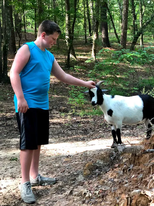 BarefootGee’s Texas Primitive Tent ,Car campsite Rest Stop.Group Campsites Picture 3