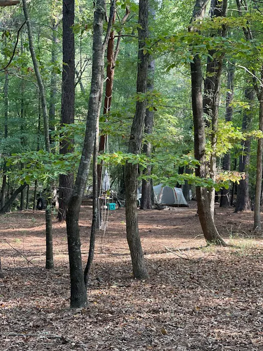 Barefoot Gee's Tent campsites , car and camper campsites Picture 6