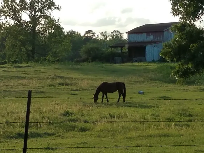 US Forestry Department Picture 2