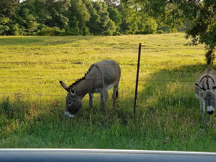 US Forestry Department Picture 4