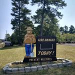 US Forestry Department