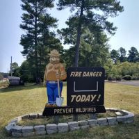 US Forestry Department ico